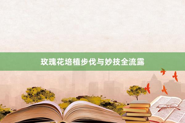 玫瑰花培植步伐与妙技全流露